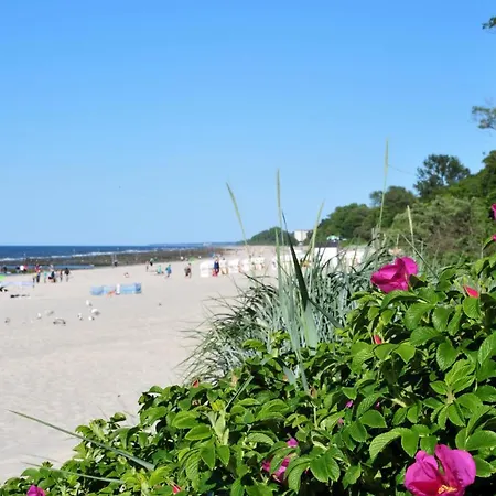 Mikro Solo Na Starowce 8m2 Apartman *