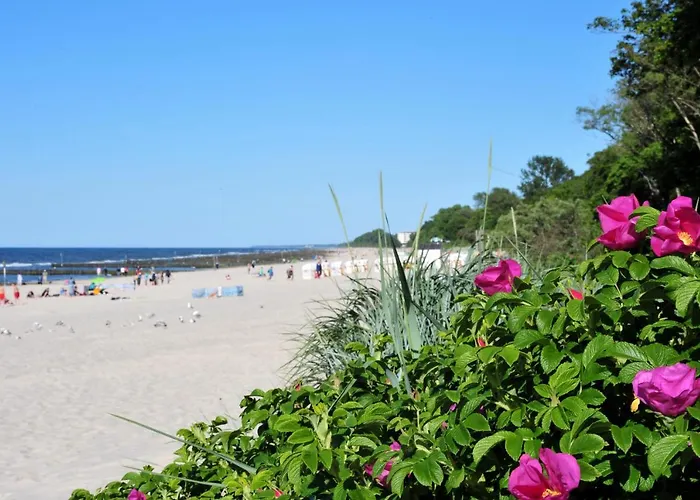 Mikro Solo Na Starowce 8m2 Apartment *